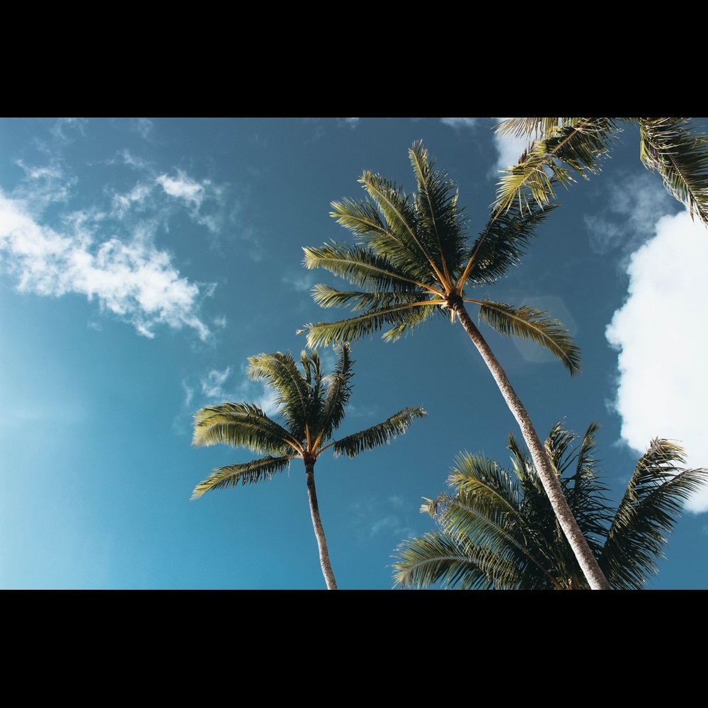 Meet your Posher, Carlos